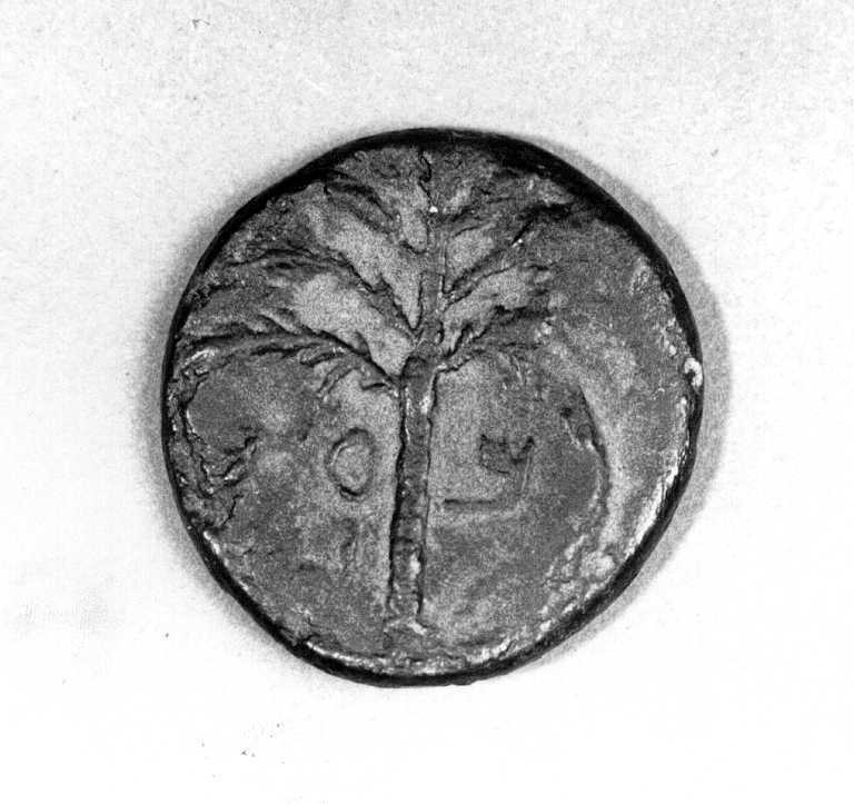 00000463.jpg; 90/024; Münze anlässlich des Bar-Kochba-Aufstands; Münze