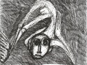 2008_10.jpg; 2008/010; Ohne Titel; Tuschezeichnung