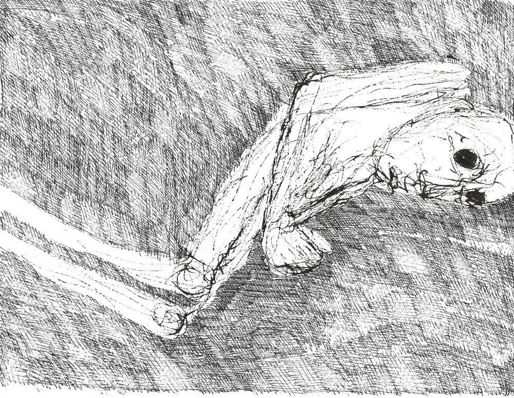 2008_7.jpg; 2008/007; Ohne Titel; Tuschezeichnung