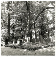 2022_119.jpg; 2022/119; Friedhof in Dorsten; Fotografie