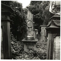 2022_122.jpg; 2022/122; Friedhof in Münster; Fotografie