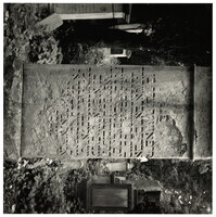 2022_123.jpg; 2022/123; Friedhof in Münster; Fotografie