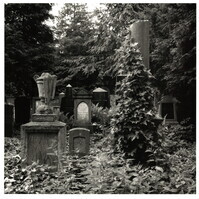 2022_124.jpg; 2022/124; Friedhof in Münster; Fotografie