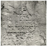 2022_125.jpg; 2022/125; Friedhof in Münster; Fotografie