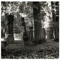 2022_127.jpg; 2022/127; Friedhof in Herford; Fotografie