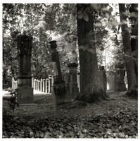 2022_127.jpg; 2022/127; Friedhof in Herford; Fotografie