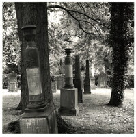 2022_128.jpg; 2022/128; Friedhof in Herford; Fotografie