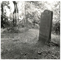 2022_129.jpg; 2022/129; Friedhof in Sendenhorst; Fotografie
