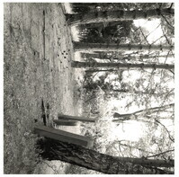 2022_130.jpg; 2022/130; Friedhof in Sendenhorst; Fotografie