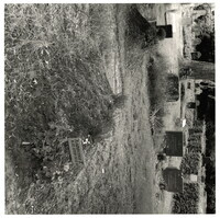 2022_131.jpg; 2022/131; Friedhof in Recklinghausen; Fotografie