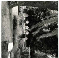 2022_132.jpg; 2022/132; Friedhof in Recklinghausen; Fotografie
