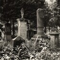 2022_133.jpg; 2022/133; Friedhof in Münster; Fotografie