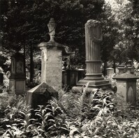 2022_133.jpg; 2022/133; Friedhof in Münster; Fotografie